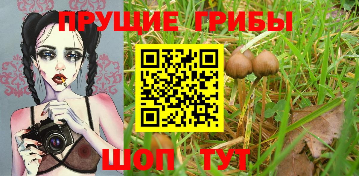 Галлюциногенные грибы MAGIC MUSHROOMS Аргун