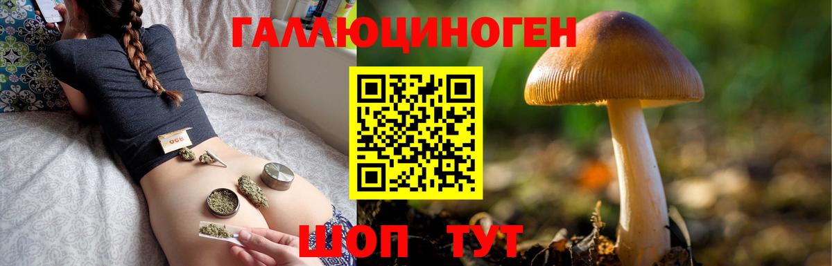 наркота  Вход с VPN  Аргун  Галлюциногенные грибы мухоморы  Галлюциногенные грибы Psilocybine cubensis 